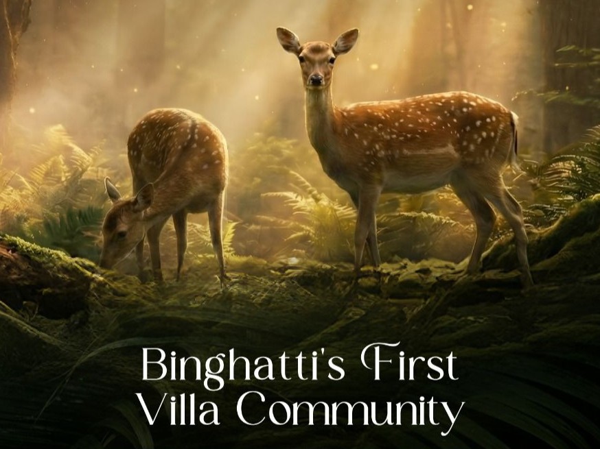 Tilal Binghatti 2 - Home